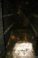 image wallerwirt_33-jpg
