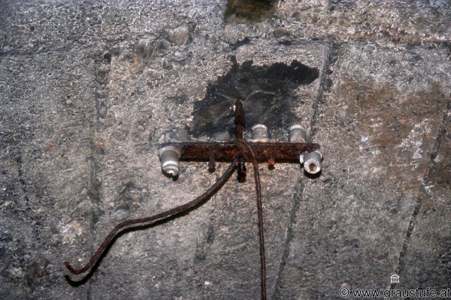image wachberg_36-jpg