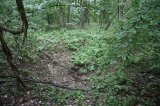 image 20120919_donauchemie-015-jpg