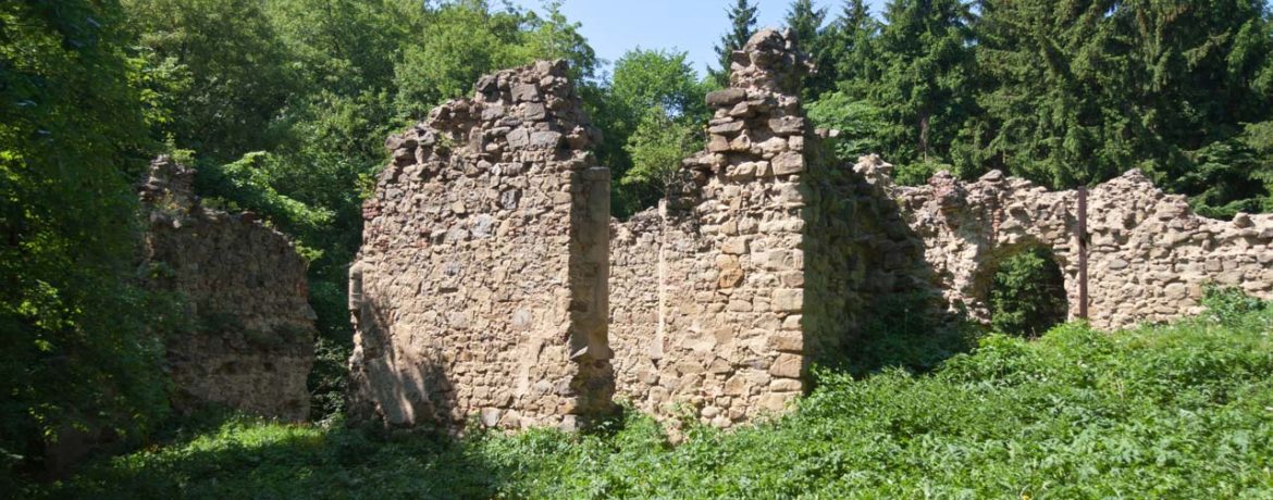 Kloster Sancta Maria in Paradyso (Klosterruine Riederberg oder Sankt Laurentius im Paradies)