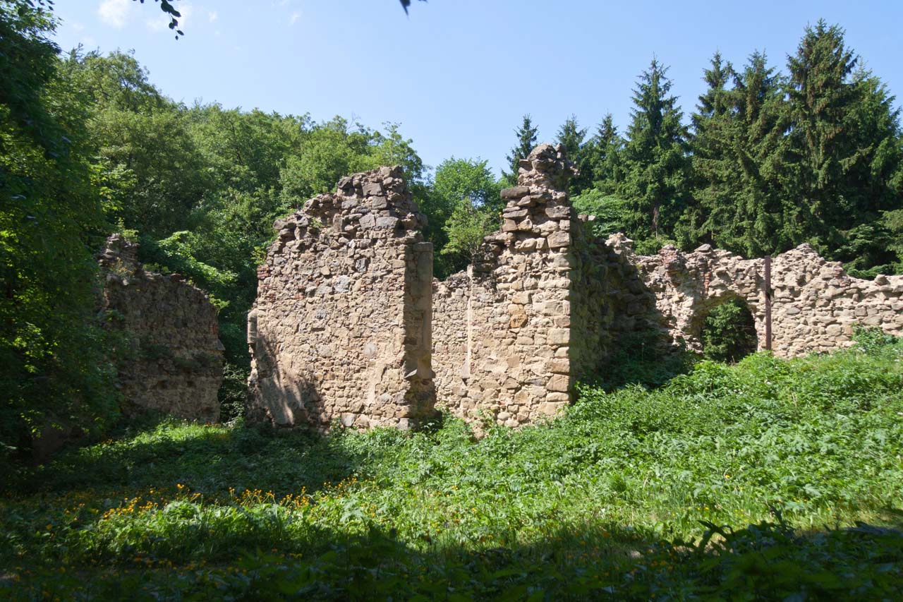 Kloster Sancta Maria in Paradyso (Klosterruine Riederberg oder Sankt Laurentius im Paradies)