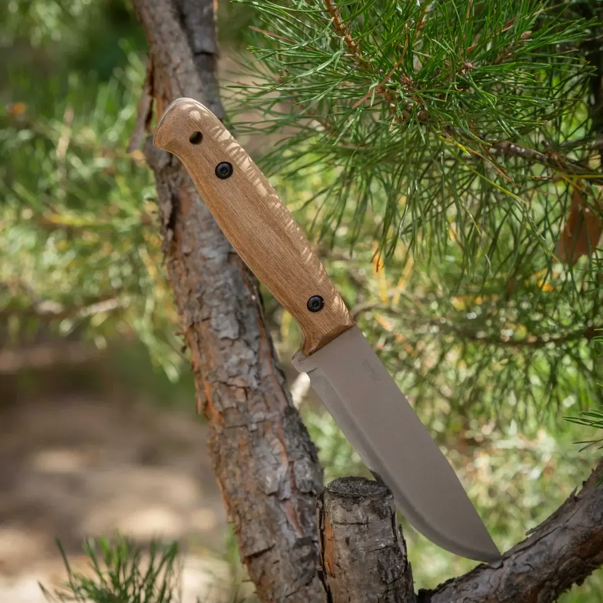 BPS KNIVES Adventurer CSHF - feststehendes Scandi Outdoor Messer – Bild 8