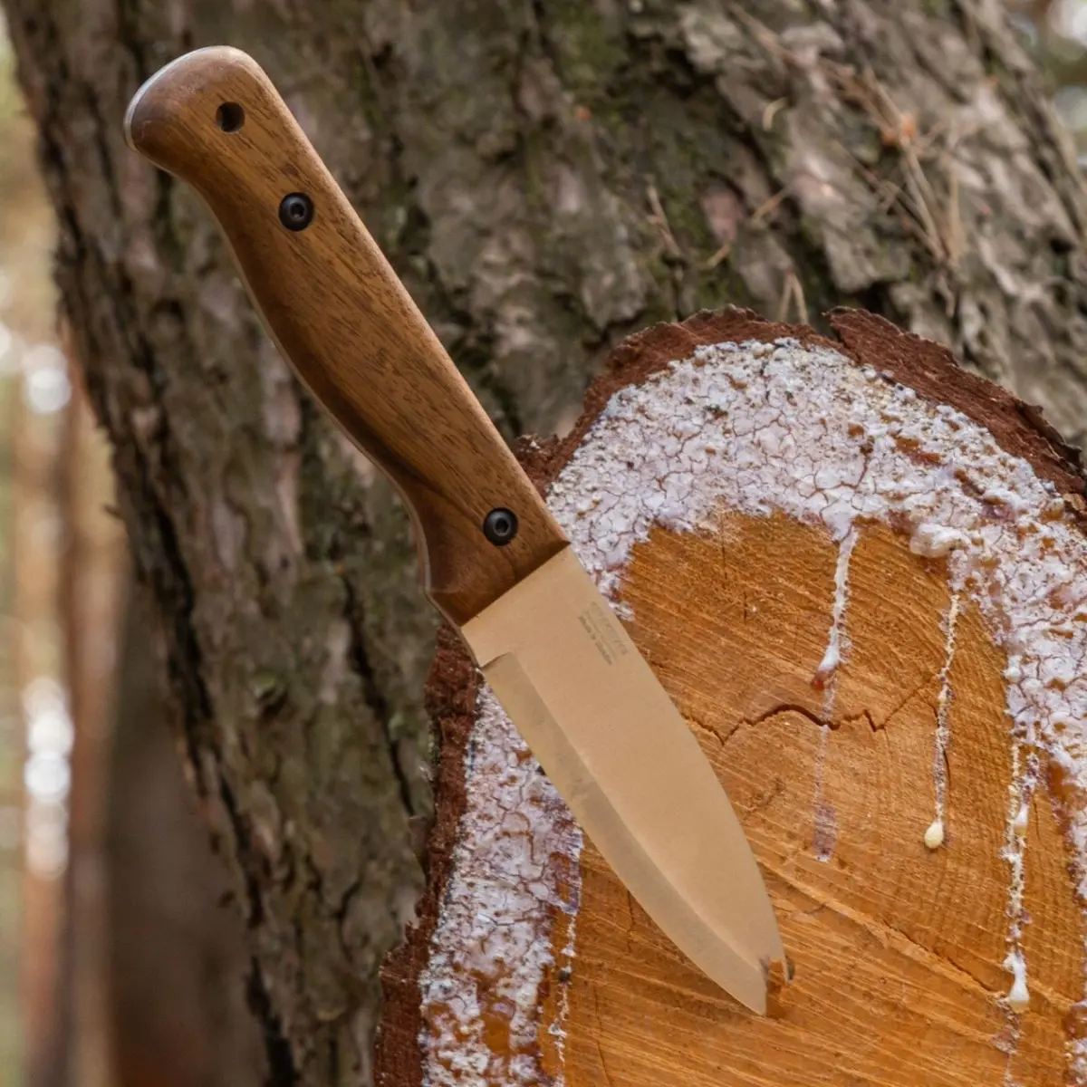 BPS KNIVES B1 - feststehendes Outdoor & Bushcraft Messer – Bild 7